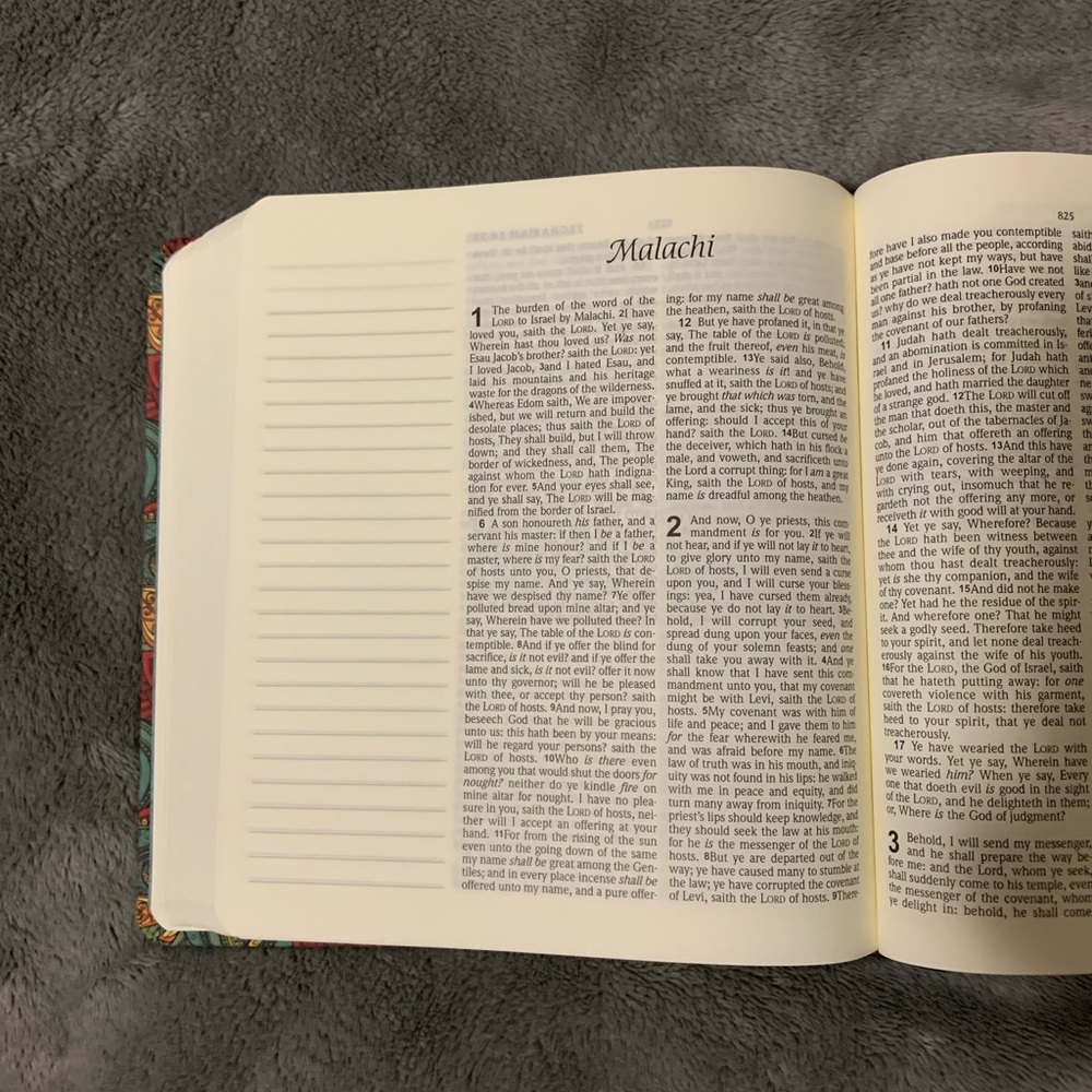 KJV journaling bible